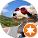 testimonial-avatar